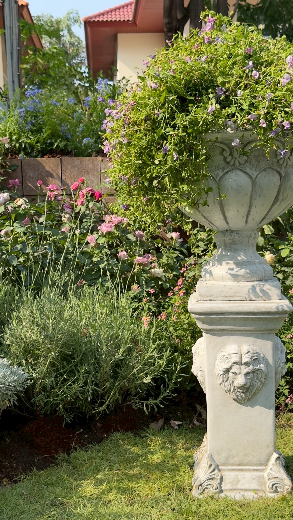 nontaburi_2 project detail 24